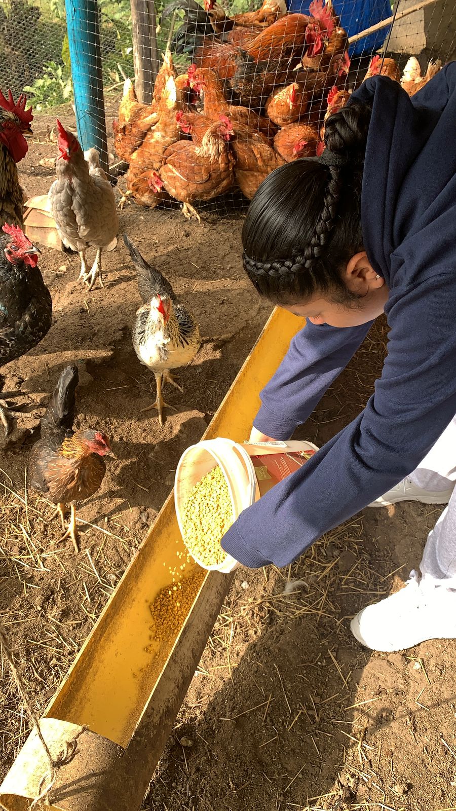 TERAPIA ASISTIDA CON ANIMALES